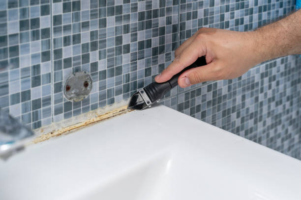 Best Local Mold Removal Service  in West Leechburg, PA